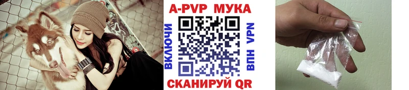 APVP СК КРИС  закладка  Городище 