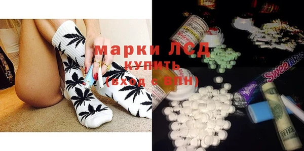крисы Баксан