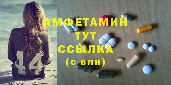 крисы Баксан