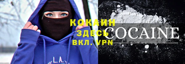 крисы Баксан