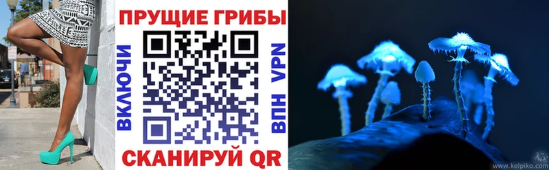 даркнет сайт  Городище  Псилоцибиновые грибы ЛСД 