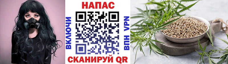 Канабис марихуана  omg онион  Городище 